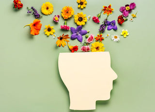 Unlocking the Power of Functional Mushrooms: A Guide to Boosting Mental Health Naturally