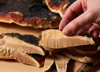 Unlock the Secrets of Reishi Mushroom: Discover its Health Benefits - Nummies