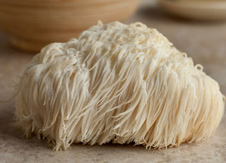 Discovering the Magic of Lion's Mane Mushrooms: A Personal Journey