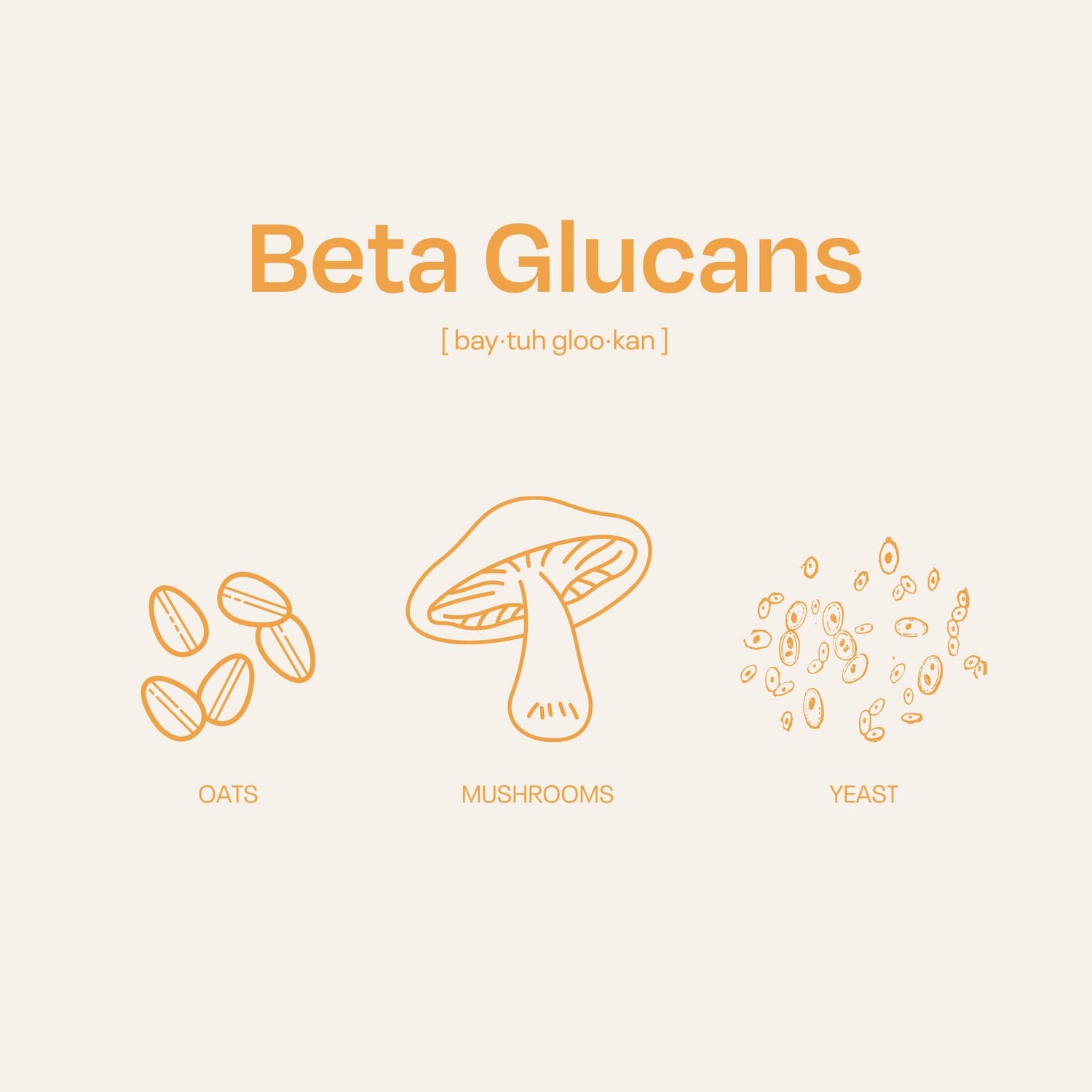 What Are Beta Glucans? The Benefits to Health - Nummies