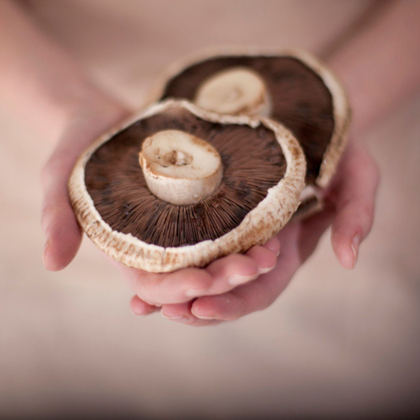 How I Use Mushrooms for Mood, Focus & Sleep — Plus Why Sleep Is Key & My Best Hacks to Sleep Better Tonight