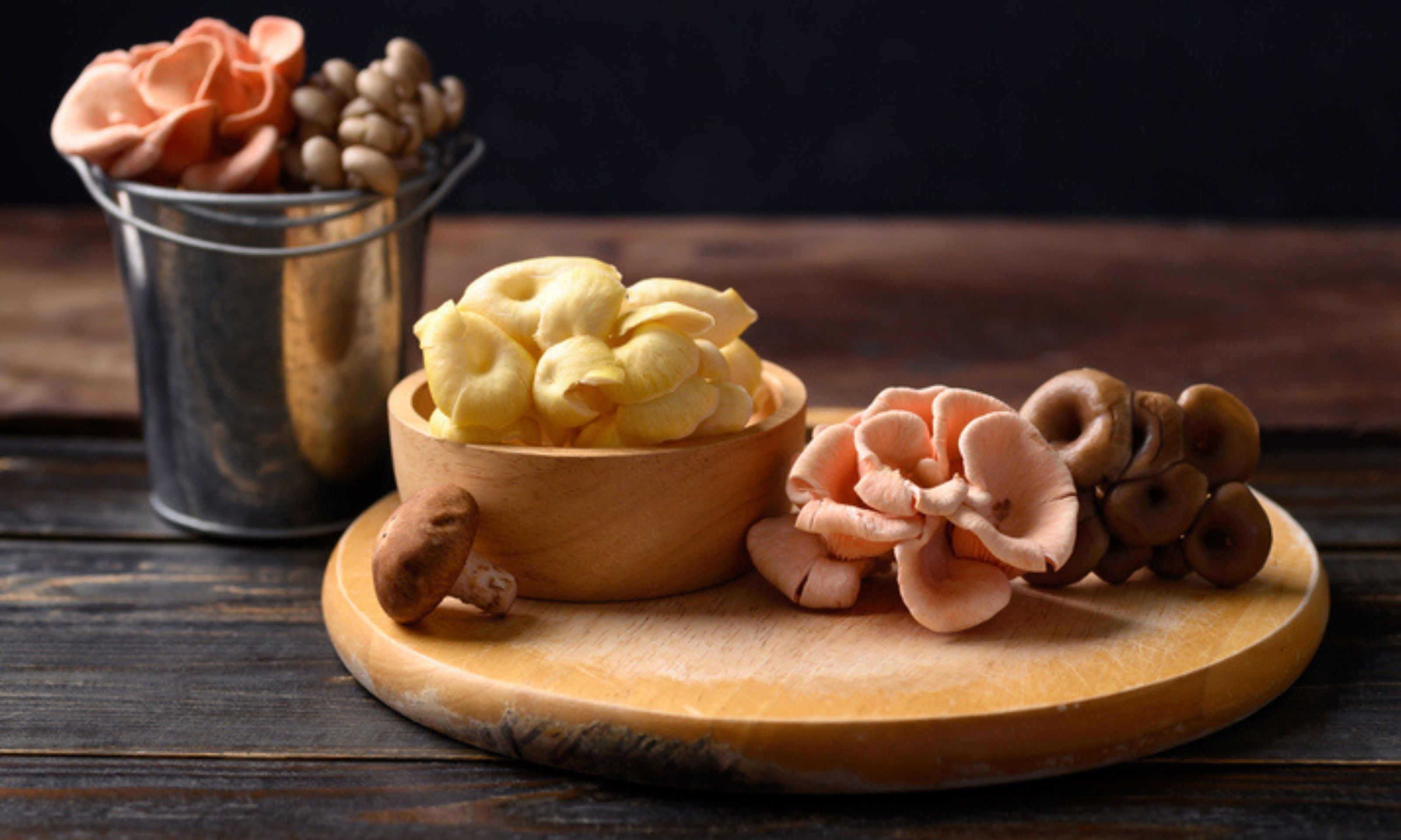 Functional Mushrooms 101: What They Are and Why Your Nervous System Will Thank You