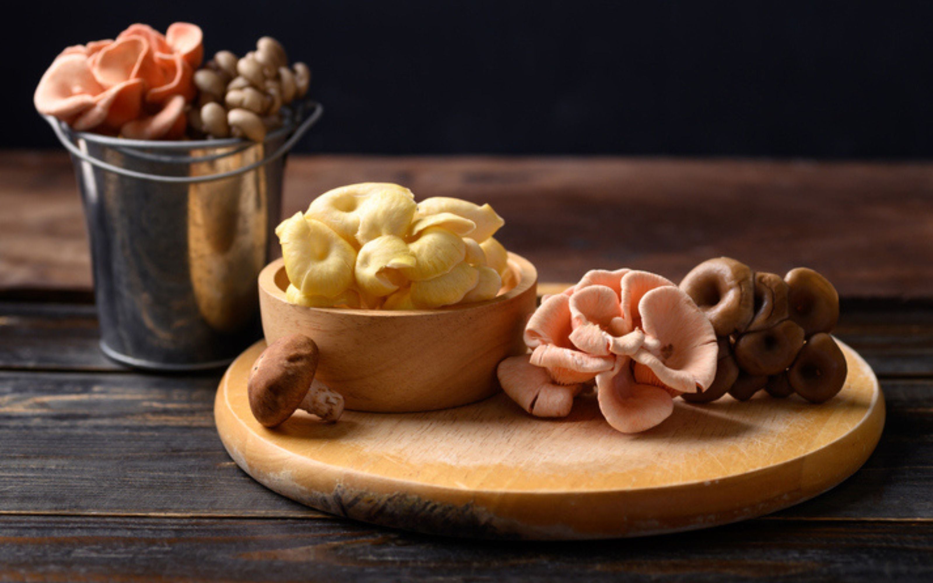 Functional Mushrooms 101: What They Are and Why Your Nervous System Will Thank You