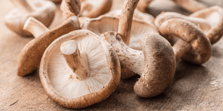 A Quick guide about high blood pressure - hypertension – and why mushrooms are a good idea - Nummies
