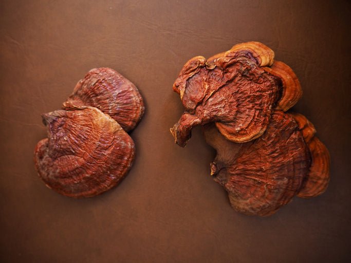 Discovering Nature's Secret: How I Manage Stress with Reishi Mushrooms - Nummies