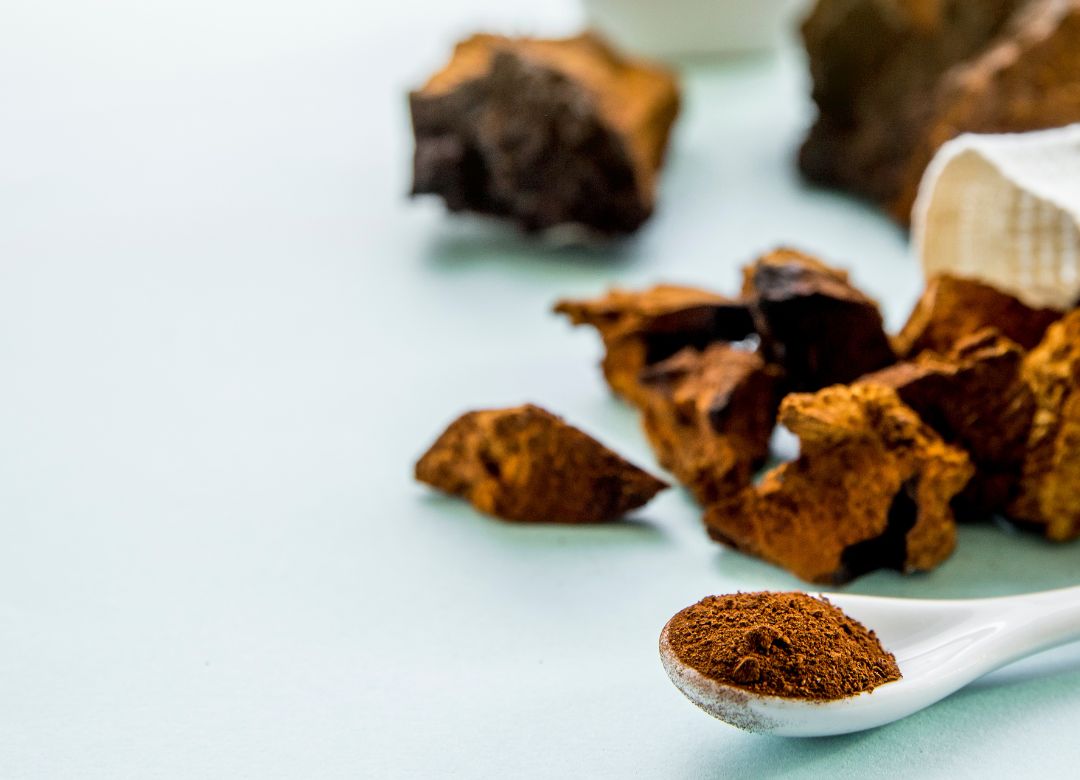 How do functional mushrooms work - Nummies