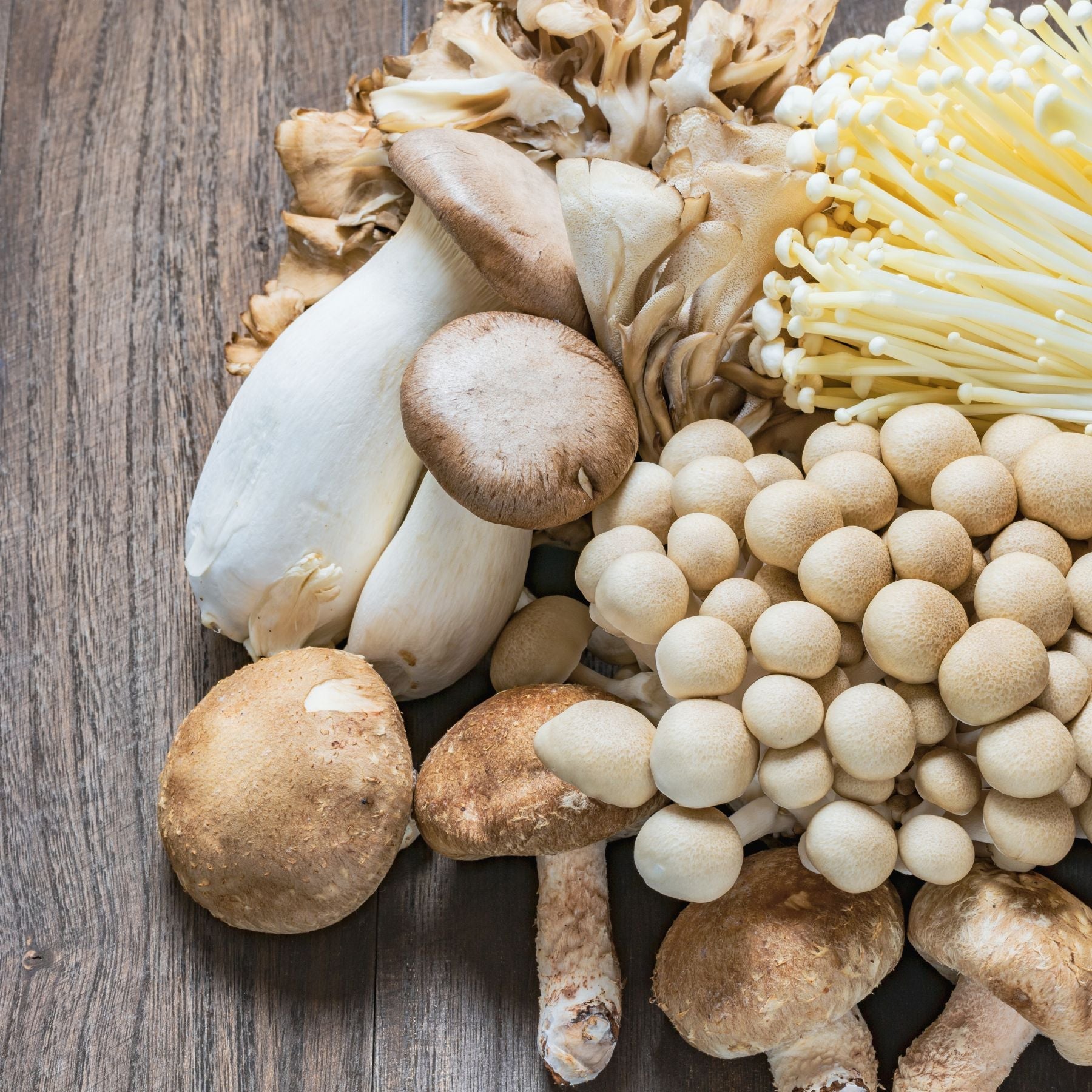 Why functional mushrooms are good for health - Nummies