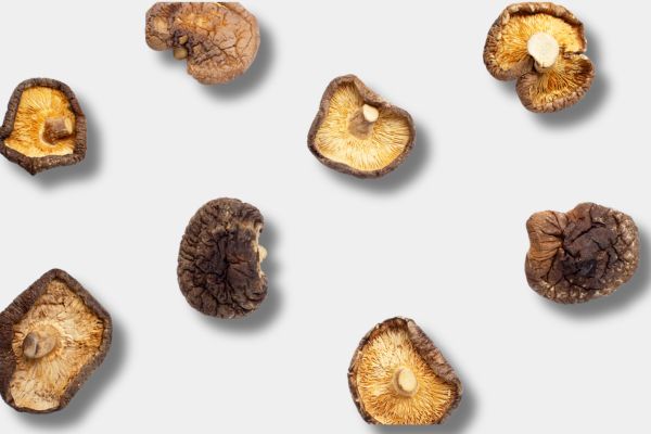 Shiitake