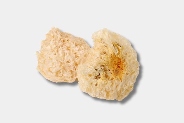 Tremella